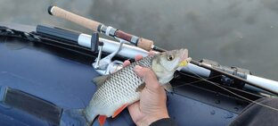 Статьи о рыбалке