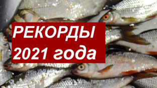 Видео с рекордами