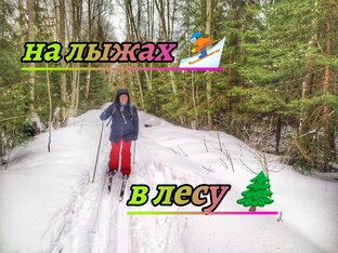 Лыжные прогулки