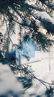 МЕСТО СИЛЫ