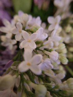 Прекрасный мир вокруг нас