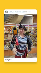 Шоу попугаев