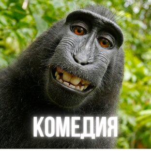 Комедия 