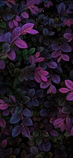 the time of psychology and spiritual philosophy