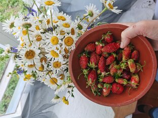 Заготовки на зиму и не только