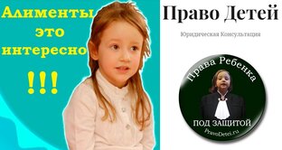 Алименты и Ответственность. Семейный Адвокат об Алиментах