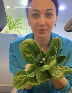 Покупка продуктов!