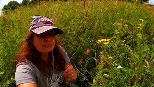 ИНТЕРЕСНО про ФЛОРУ. МИР вокруг НАС.