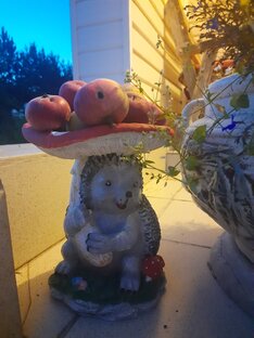 Дачная лирика от дяди Жени 