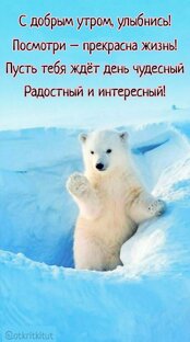 Прикольные животные