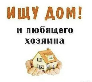 Мы ищем дом🏠