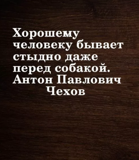 Когда бывает стыдно, а ты ничего не делал!