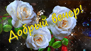 Добрый вечер!