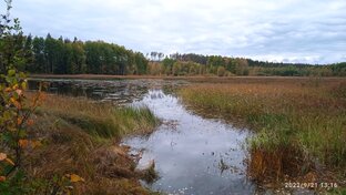 Реки и Озера Ленинградской области