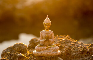 Философия инвестора.