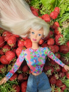 Путешествуем, гуляем вместе с куклами