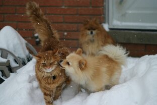 Здесь все о кормлении
