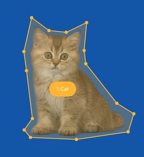 Наши сервисы