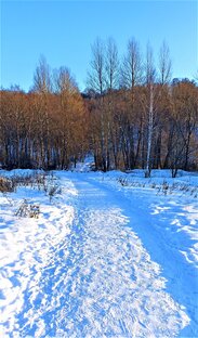 Погода и природа