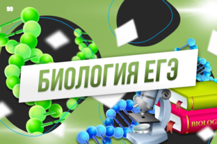 Биология
