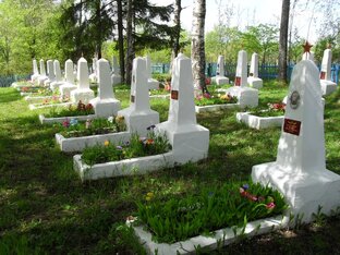г.Малая Вишера
