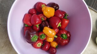 Вкусные рецепты и заготовки