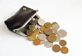 Социальные ориентиры и солидарность