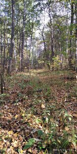 Природа и моя дочь