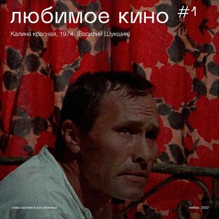 Любимое кино