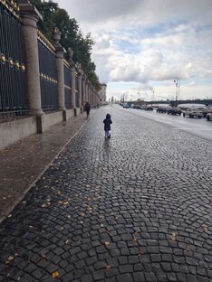 ПЕТЕРБУРГСКИЕ 🐱 КОТЫ 