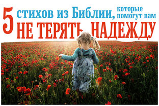 Автор Дэб Вулф
