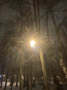 Поэзия