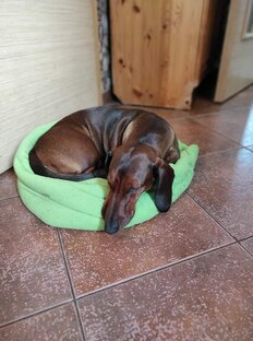 Дневники Клавы в отпуске 2021