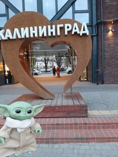 Грогу чилил в Калининграде, а ты нет