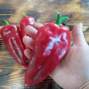 Куда девать урожай или про заготоВки 👆