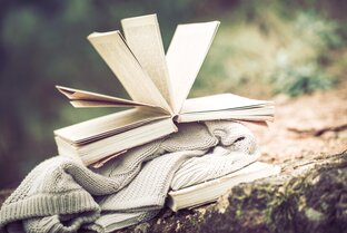 Тесты о литературных героях, авторах и событиях