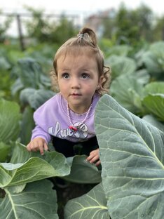 КинА не будет