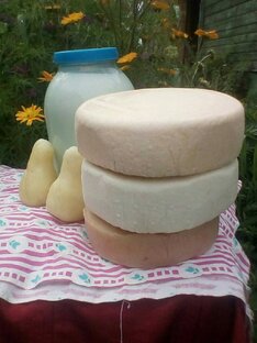 Сыры. Много рецептов. 