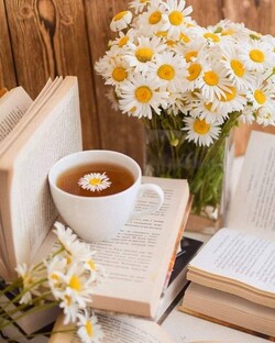 Травяные чаи