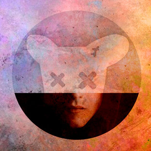 Новости России 