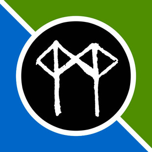Рунические ставы
