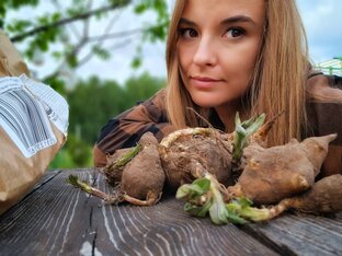 Деревенский дневник