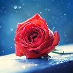 поздравления на каждый день