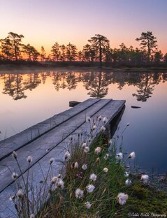 Финляндия 🇫🇮