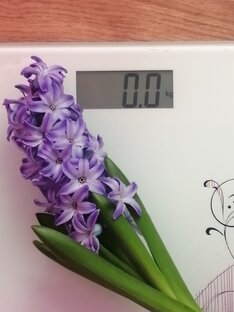 Этапы моего похудения. 