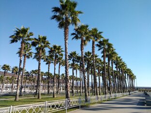 Туристический сезон и туристы