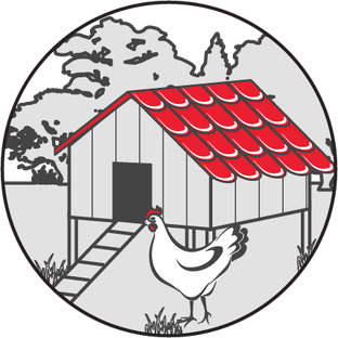 Мой птичий двор