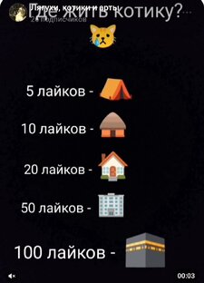 Всё для котика