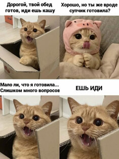 Котомем 