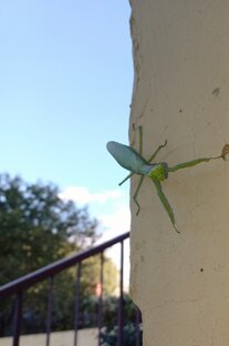 встреча за углом